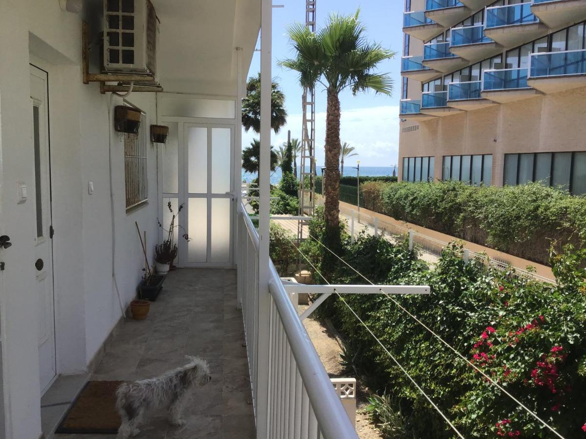 Carpe Diem Apartment El Albir Exterior photo